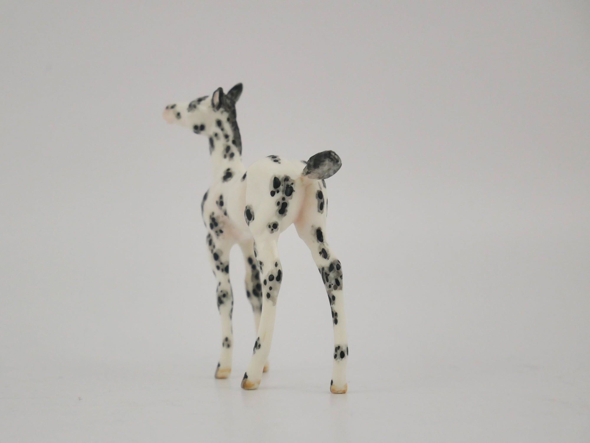 SCOTTERIC-OOAK BLACK LEOPARD APPALOOSA FOAL BY ANDREA