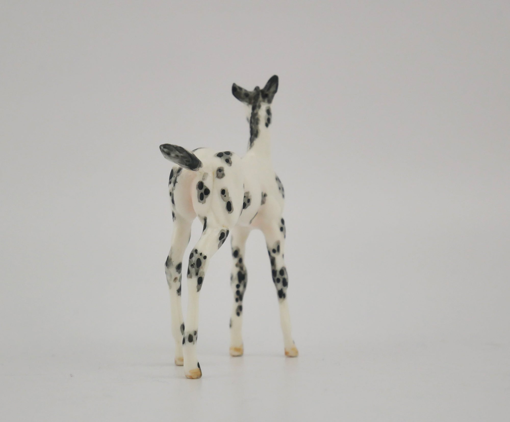 SCOTTERIC-OOAK BLACK LEOPARD APPALOOSA FOAL BY ANDREA
