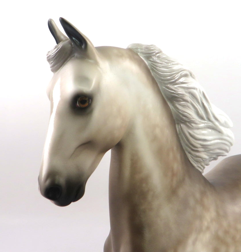 SCRUMPTIOUS-OOAK DAPPLE GREY SADDLEBRED BY SHERYL LEISURE 12/27/19