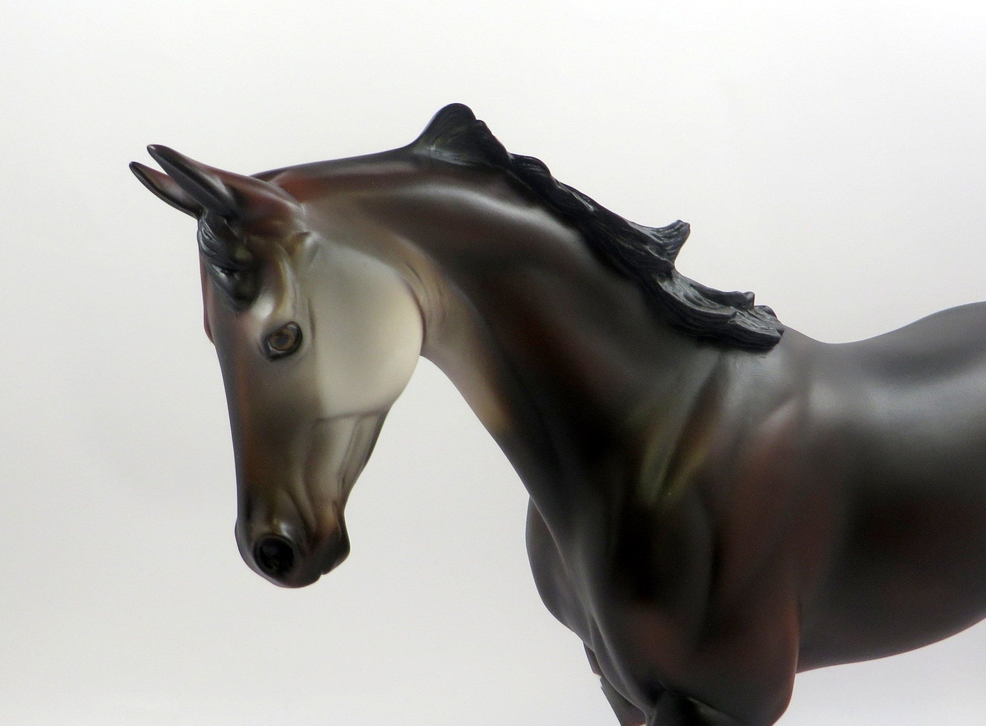 SEAMUS-OOAK &quot;OKAPI&quot; THOROUGHBRED MODEL HORSE EQ 19