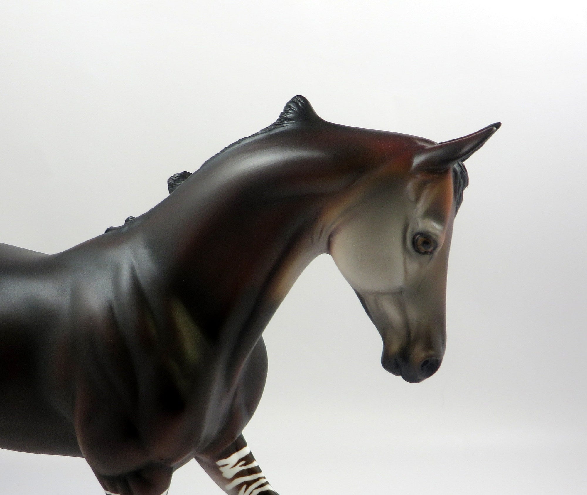 SEAMUS-OOAK &quot;OKAPI&quot; THOROUGHBRED MODEL HORSE EQ 19