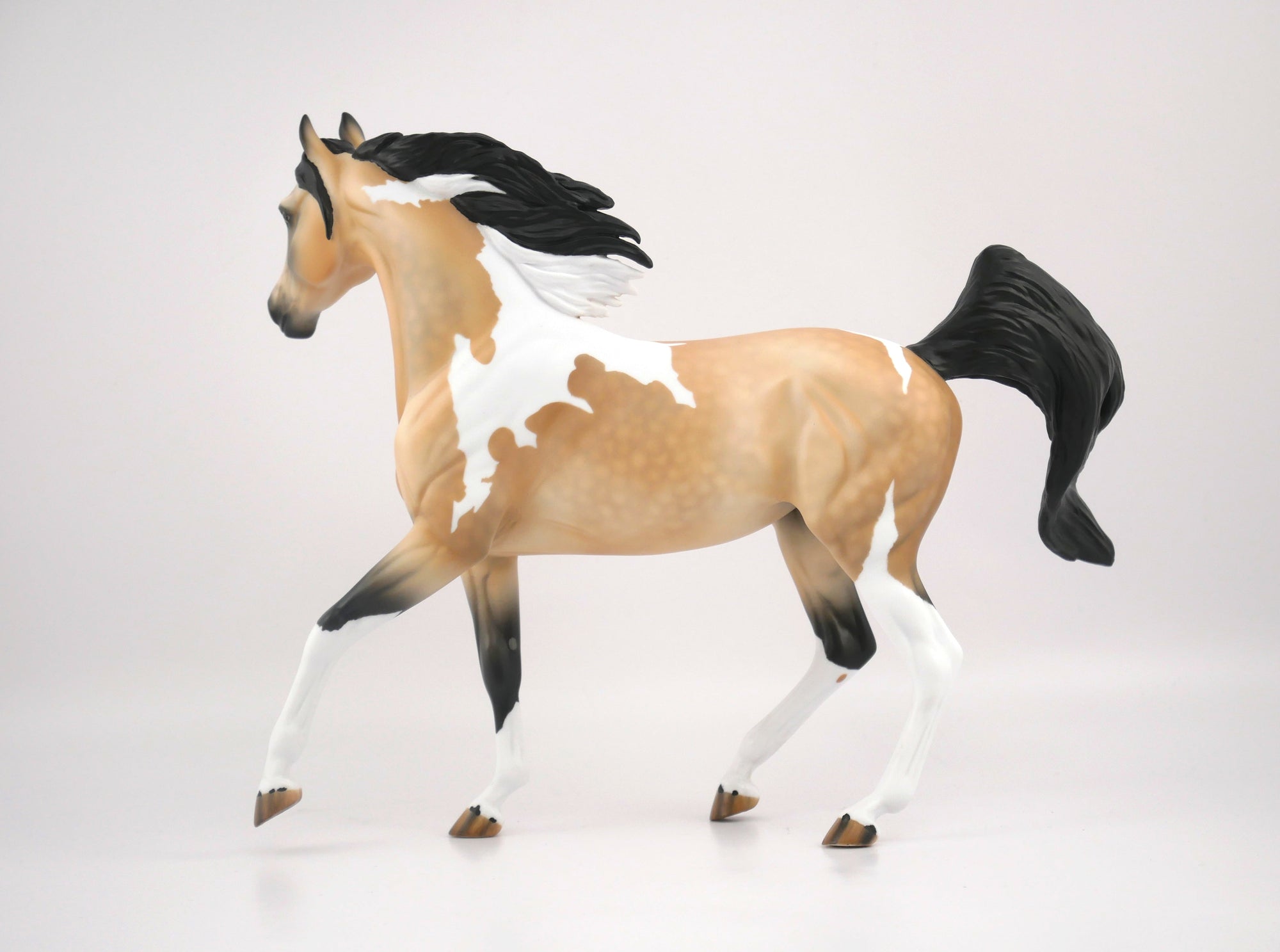 SECOND ACT-OOAK BUCKSKIN PINTO ARABIAN MARE BY AUDREY DIXON 7/22/20