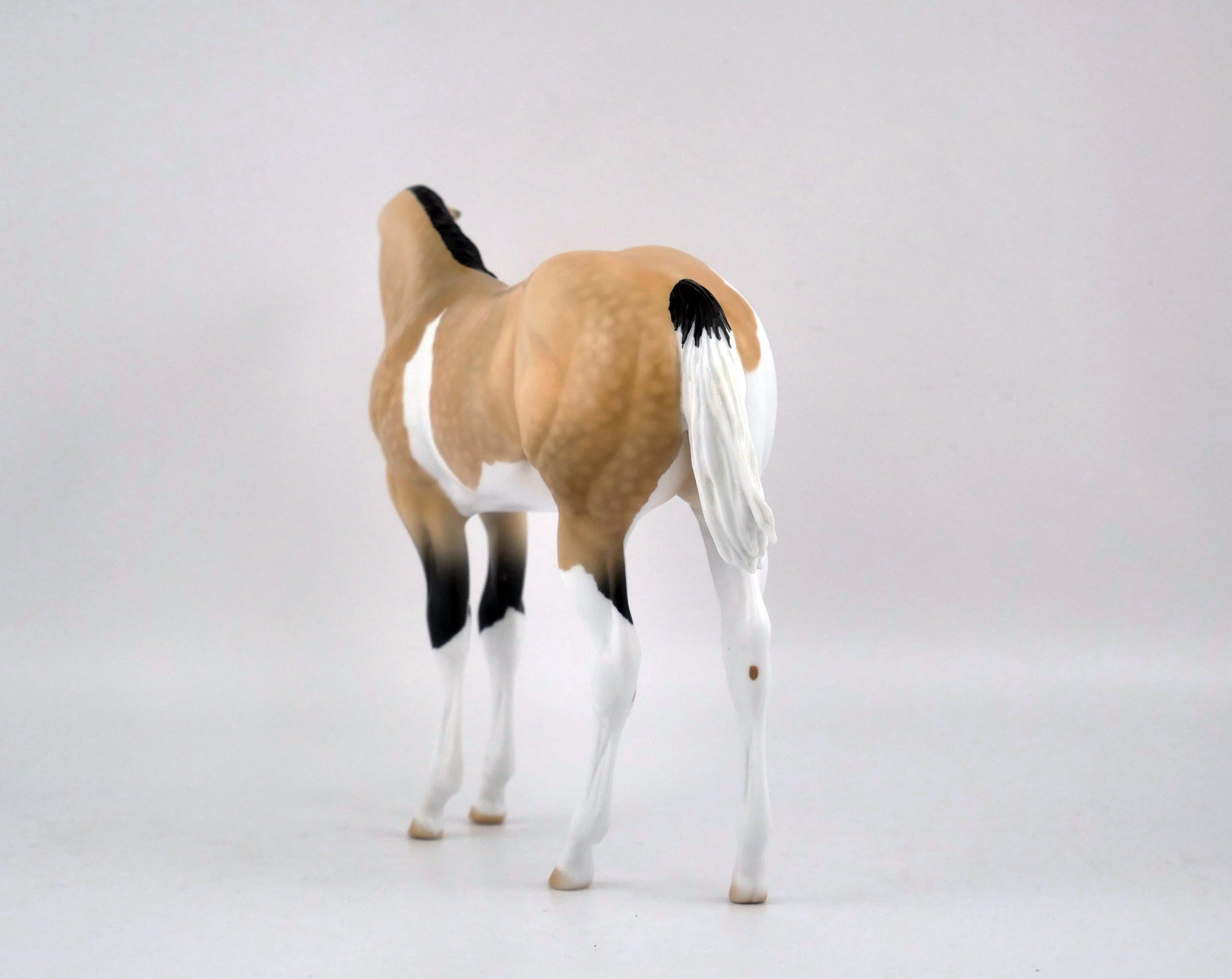 Sequin-OOAK Buckskin Pinto Weanling by Audrey Dixon