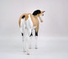 Sequin-OOAK Buckskin Pinto Weanling by Audrey Dixon