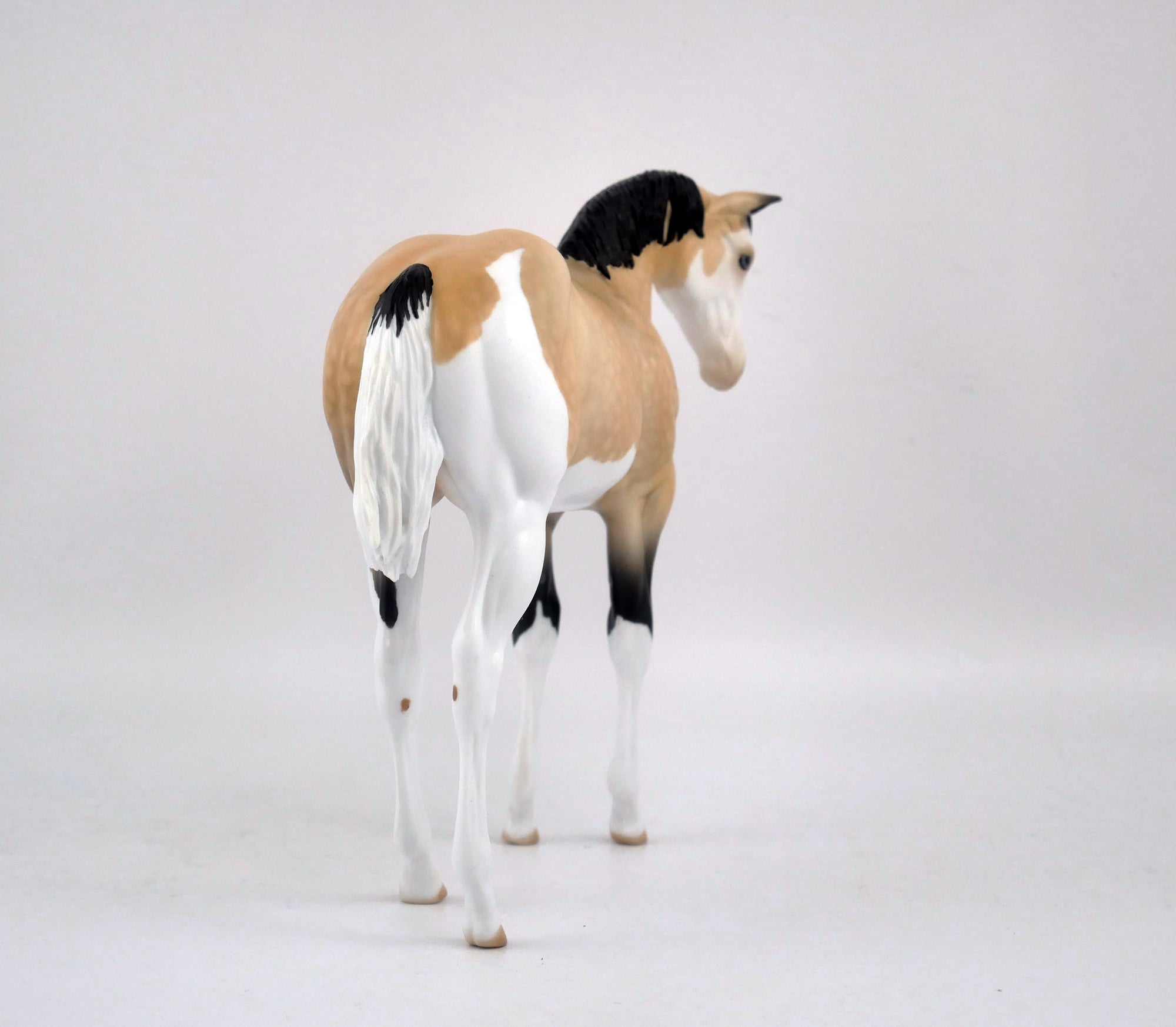 Sequin-OOAK Buckskin Pinto Weanling by Audrey Dixon