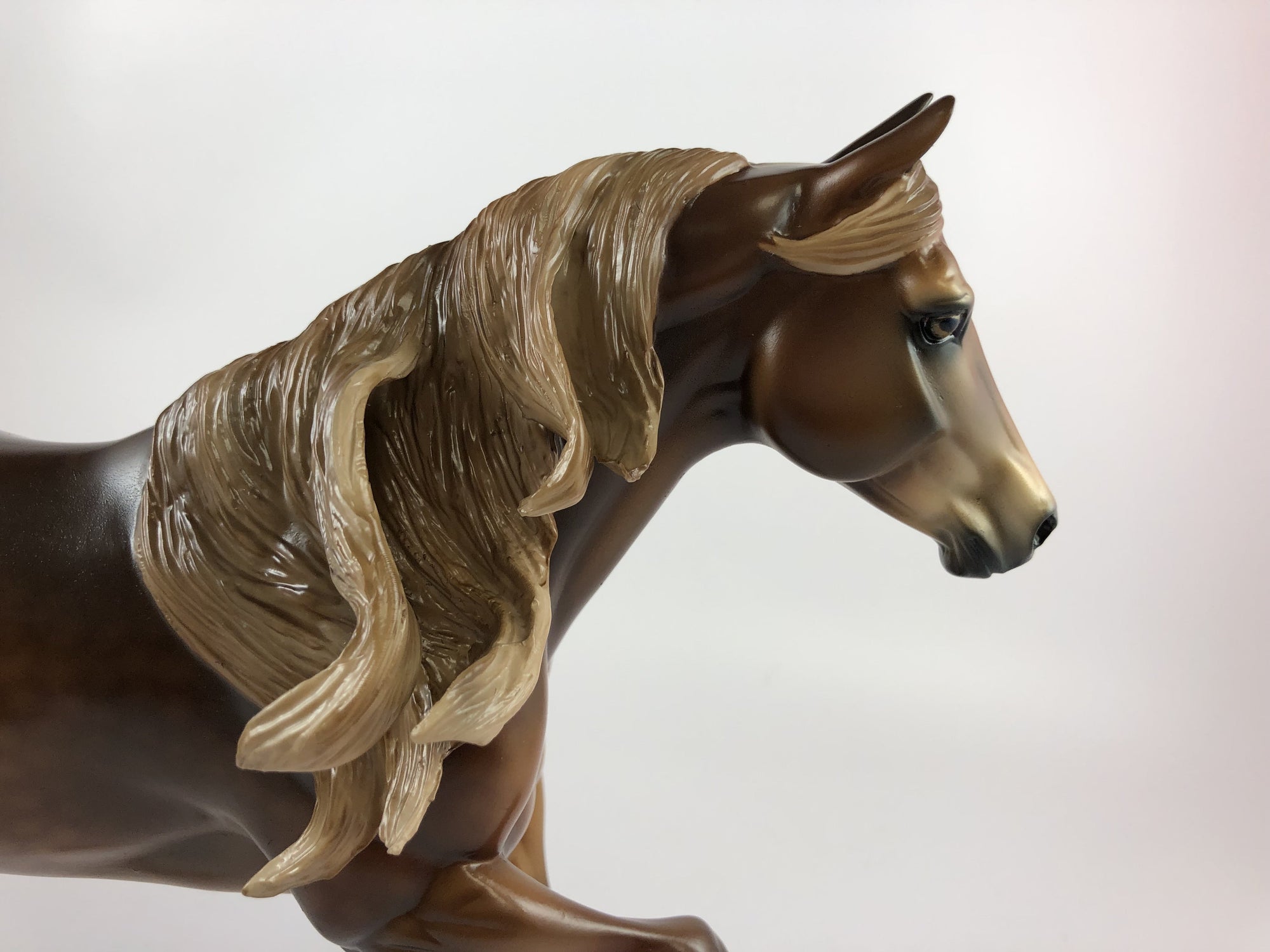 SHADEN -OOAK DAPPLE CHESTNUT FOUNDATION QUARTER HORSE BY AUDREY DIXON 10/4/19