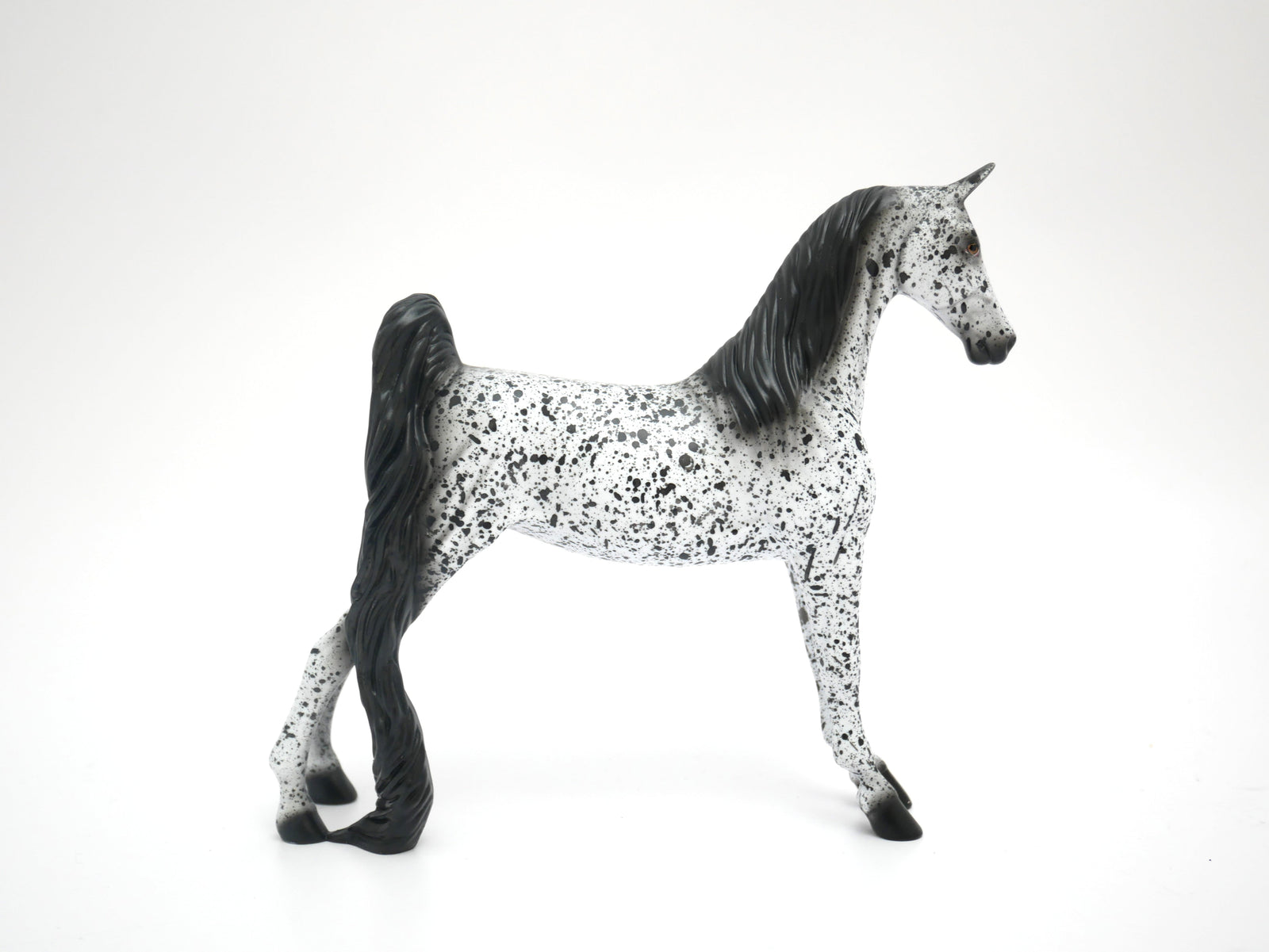 LOUD APPALOOSA BY AL KAT