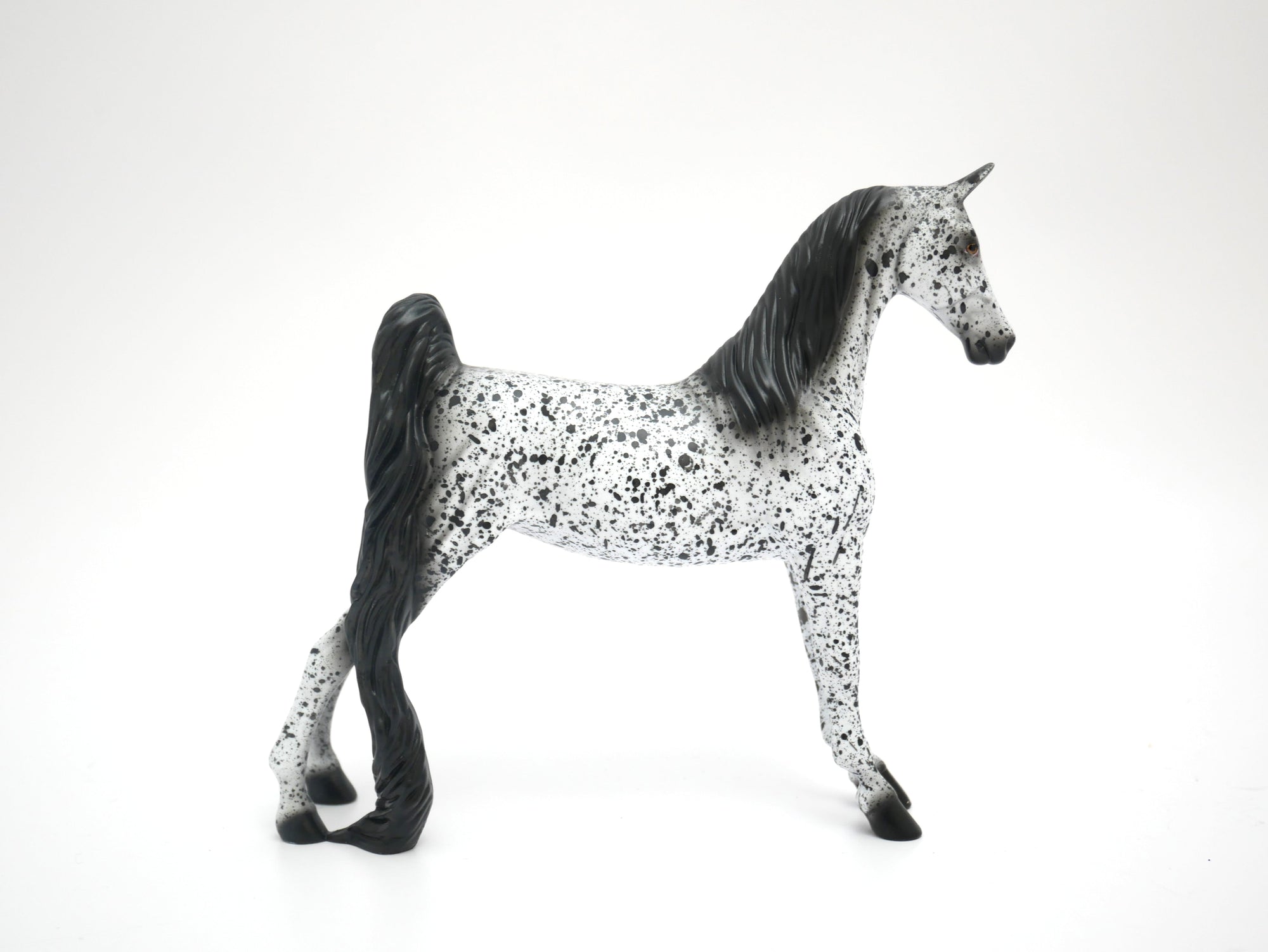 LOUD APPALOOSA BY AL KAT