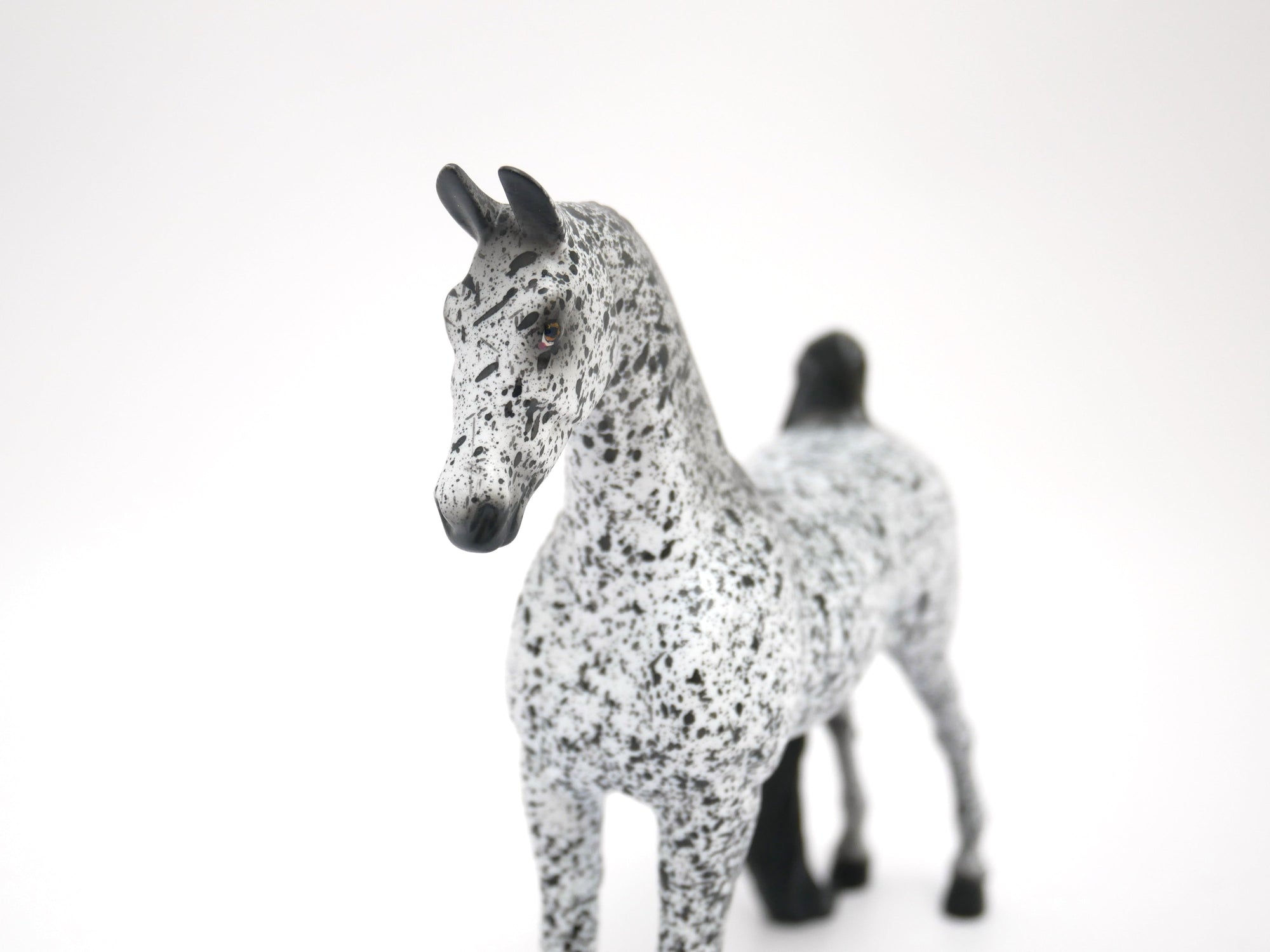 SHAKE IT UP-OOAK LOUD APPALOOSA SADDLEBRED PEBBLES MODEL HORSE 3/12/20