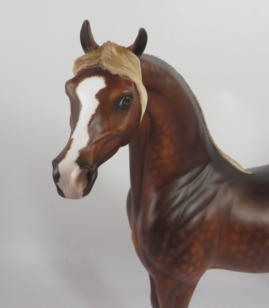 SHELLHAMMER-OOAK- DAPPLE CHESTNUT ARABIAN MODEL HORSE BY SHERYL LEISURE WHS19