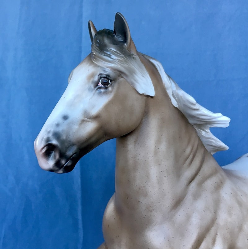 SHINE ON-OOAK BAY APPALOOSA TROTTING DRAFT 4/24/20