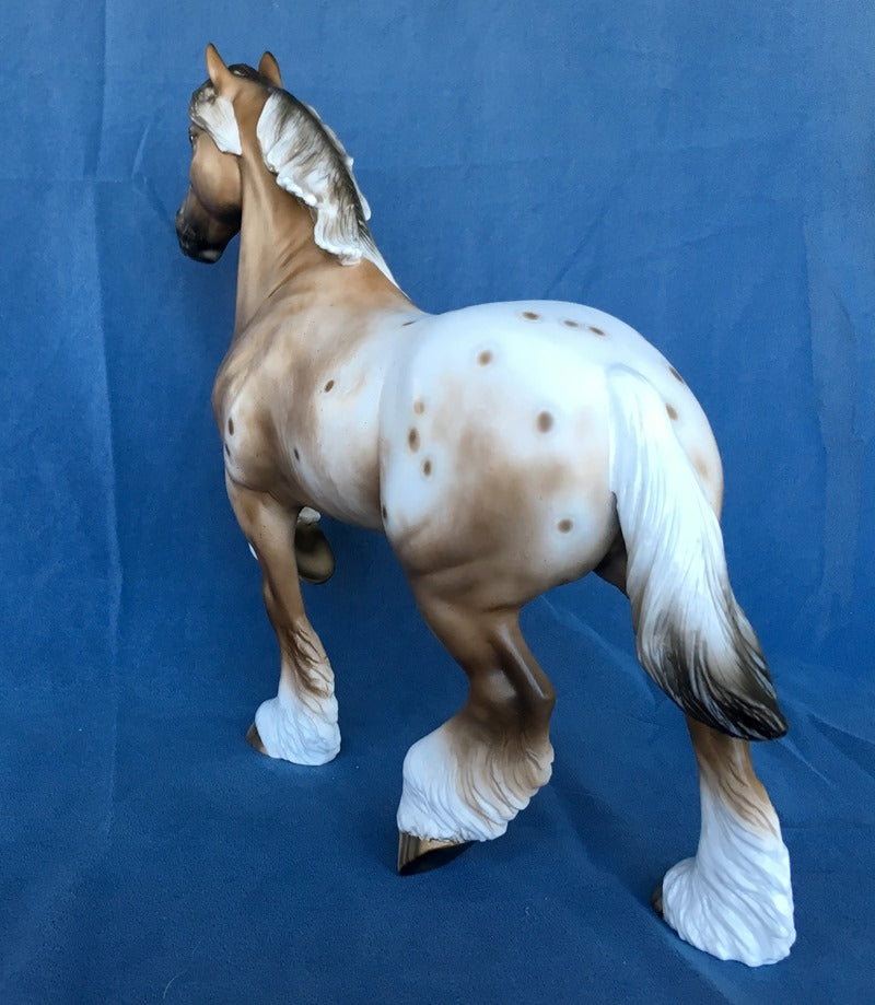 SHINE ON-OOAK BAY APPALOOSA TROTTING DRAFT 4/24/20