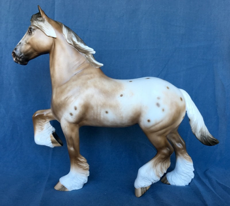 SHINE ON-OOAK BAY APPALOOSA TROTTING DRAFT 4/24/20