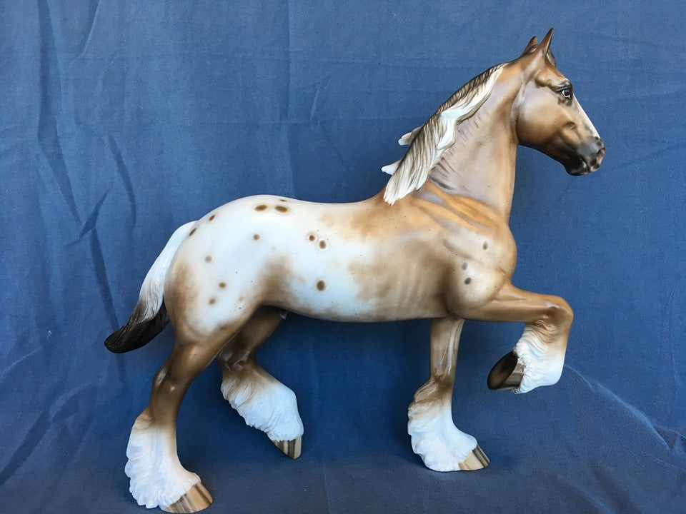 SHINE ON-OOAK BAY APPALOOSA TROTTING DRAFT 4/24/20