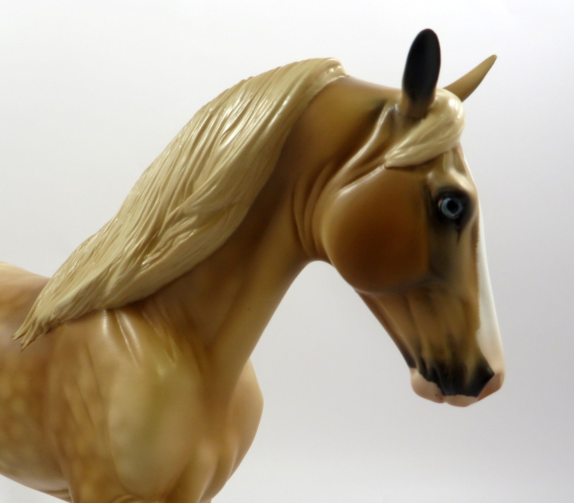 SHOGI-OOAK DAPPLE PALOMINO TENNESEE WALKER MODEL HORSE EQ 2019