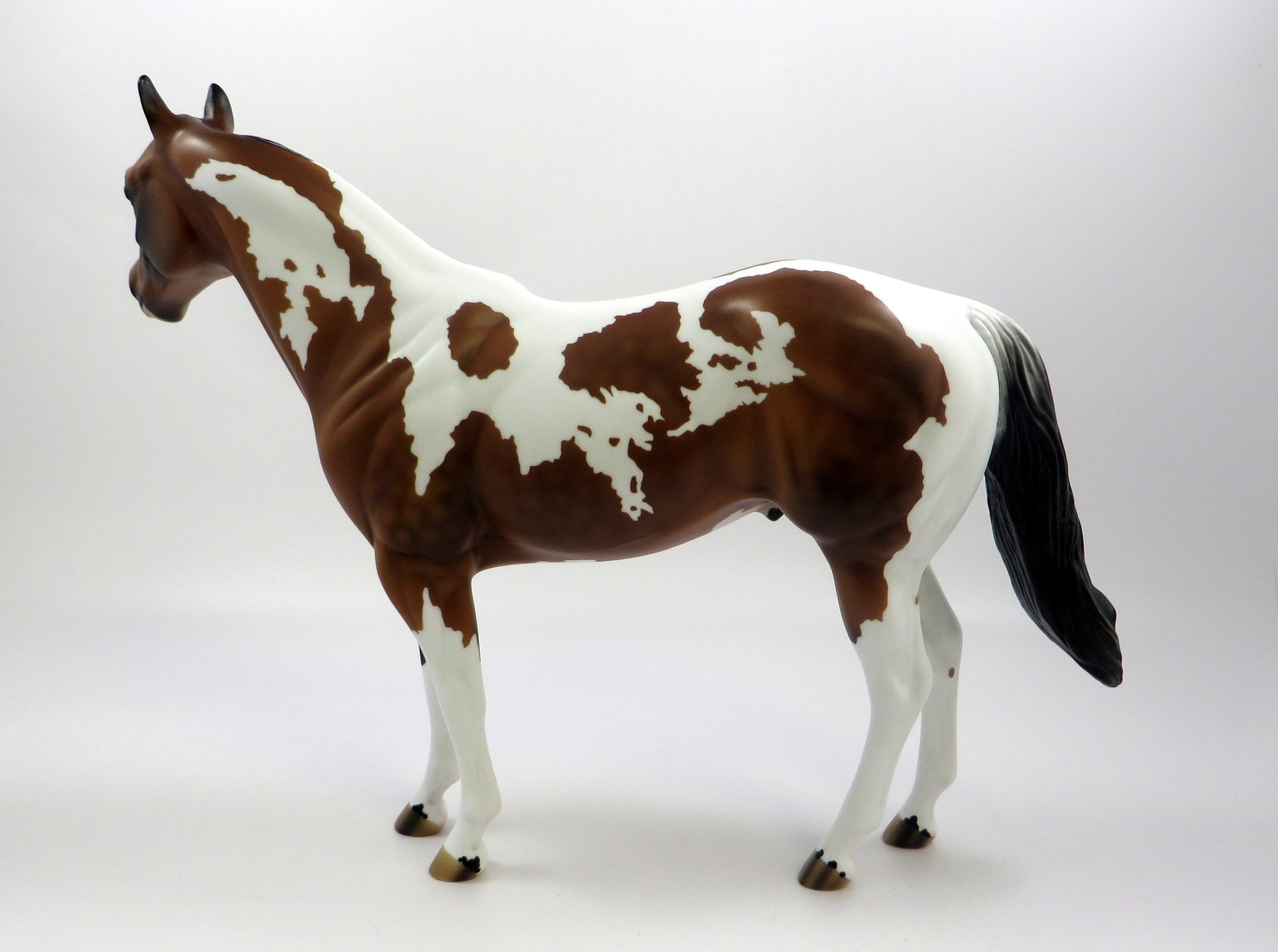 ROY-OOAK DAPPLE BAY OVERO ISH MODEL HORSE 5/23/19