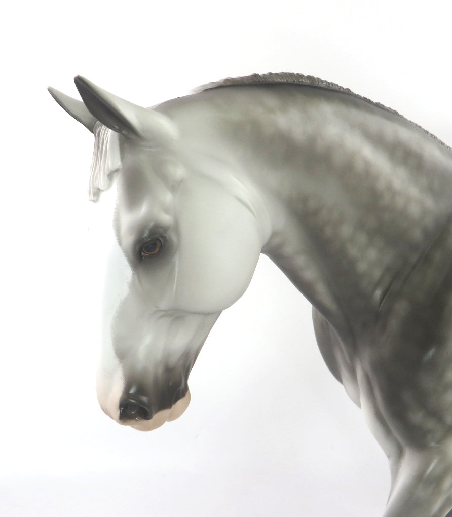 SILVER WHITE WINTER - LIGHT DAPPLE GREY IRISH DRAFT BY SHERYL LEISURE WHS19