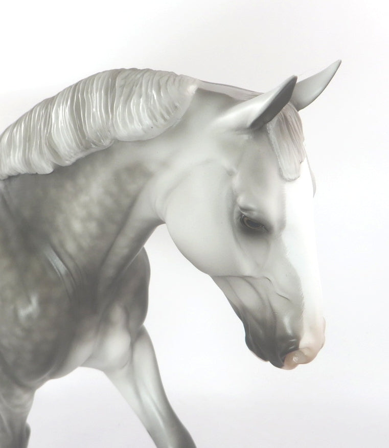 SILVER WHITE WINTER - LIGHT DAPPLE GREY IRISH DRAFT BY SHERYL LEISURE WHS19