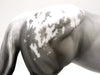 Silver Lining-OOAK Etched Blanket Appaloosa ISH Painted by Ellen Robbins 1/10/21