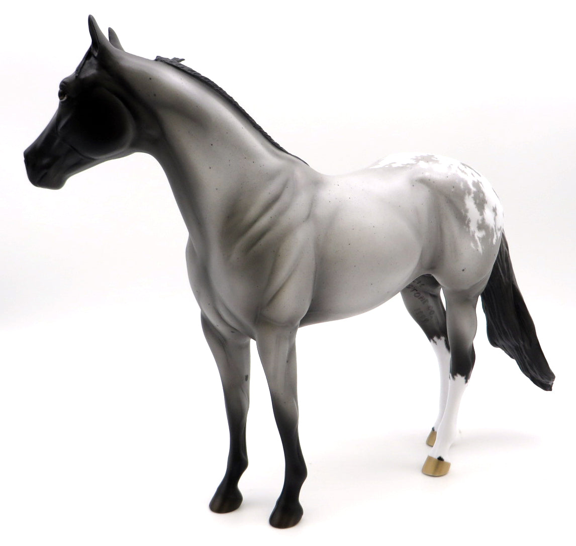 Silver Lining-OOAK Etched Blanket Appaloosa ISH Painted by Ellen Robbins 1/10/21