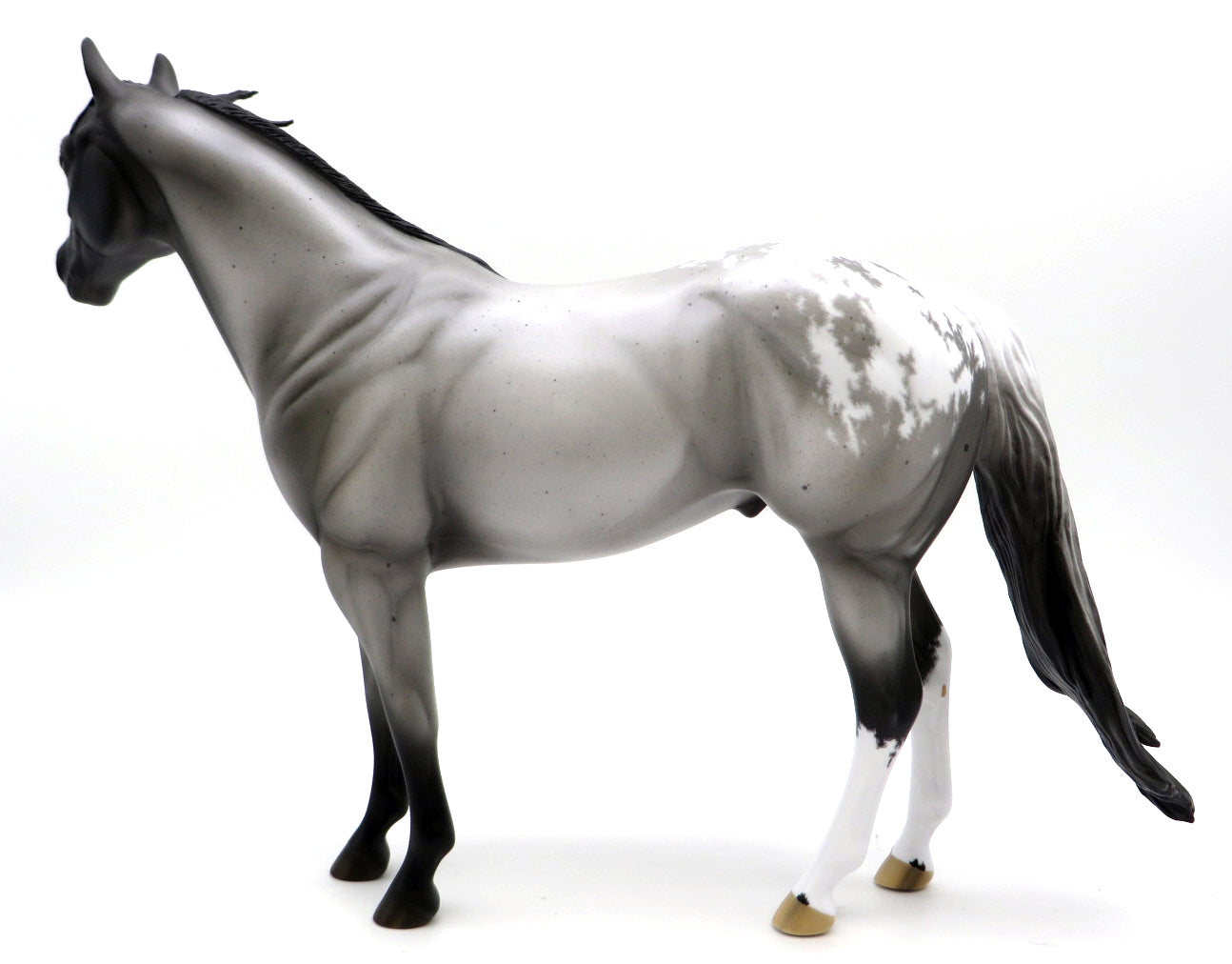 Silver Lining-OOAK Etched Blanket Appaloosa ISH Painted by Ellen Robbins 1/10/21