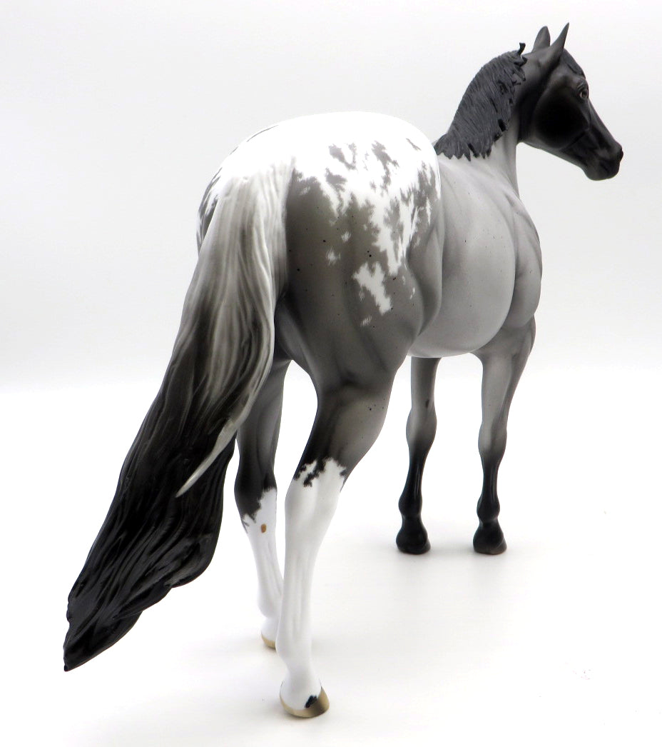 Silver Lining-OOAK Etched Blanket Appaloosa ISH Painted by Ellen Robbins 1/10/21