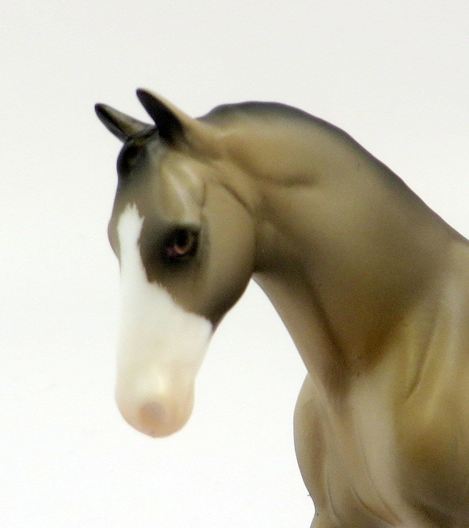 SIR GARETH-LE-5 BUCKSKIN WARMBLOOD CHIP KNIGHTS OF THE ROUND TABLE EQ 19