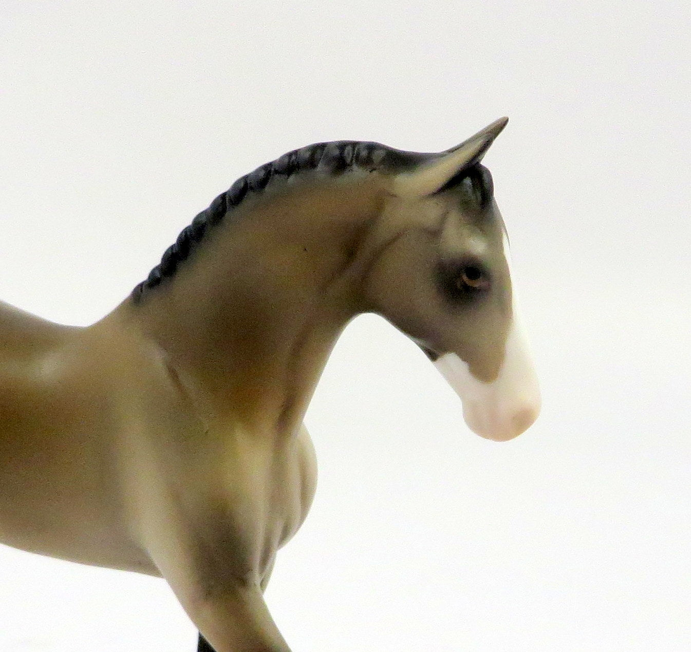 SIR GARETH-LE-5 BUCKSKIN WARMBLOOD CHIP KNIGHTS OF THE ROUND TABLE EQ 19