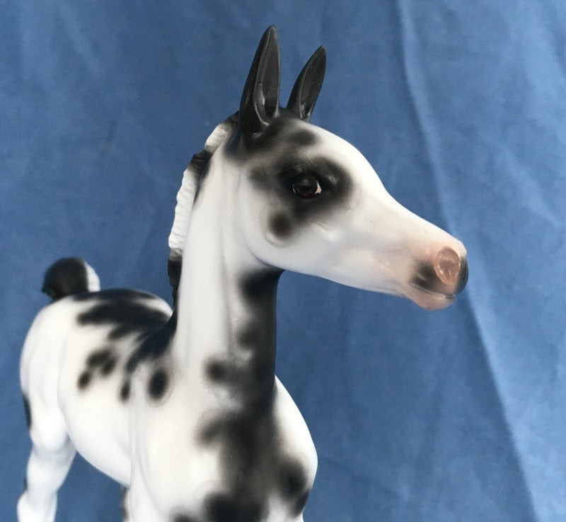 SLAP HAPPY-OOAK SPOTTED MULE FOAL BY SHERYL LEISURE 4/22/20