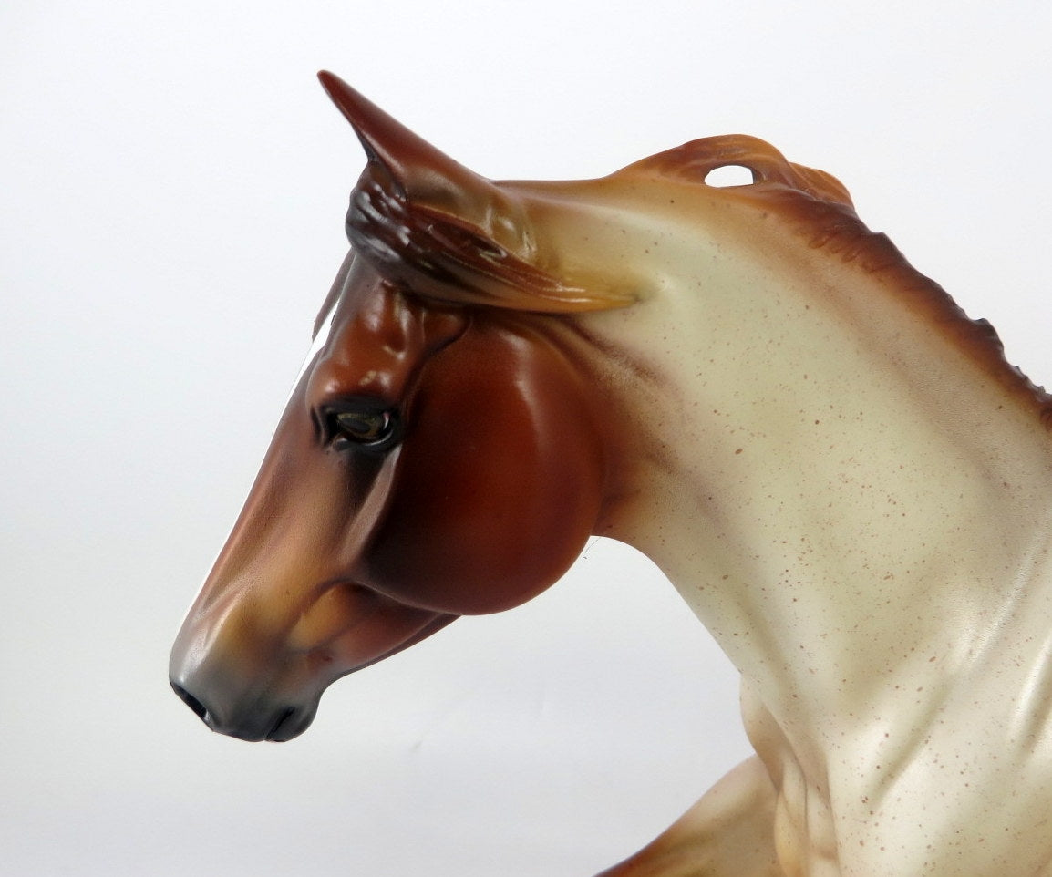 SMASHING PUMPKINS -LE-15 CHESTNUT ROAN FQH BY JULIE KEIM MM19