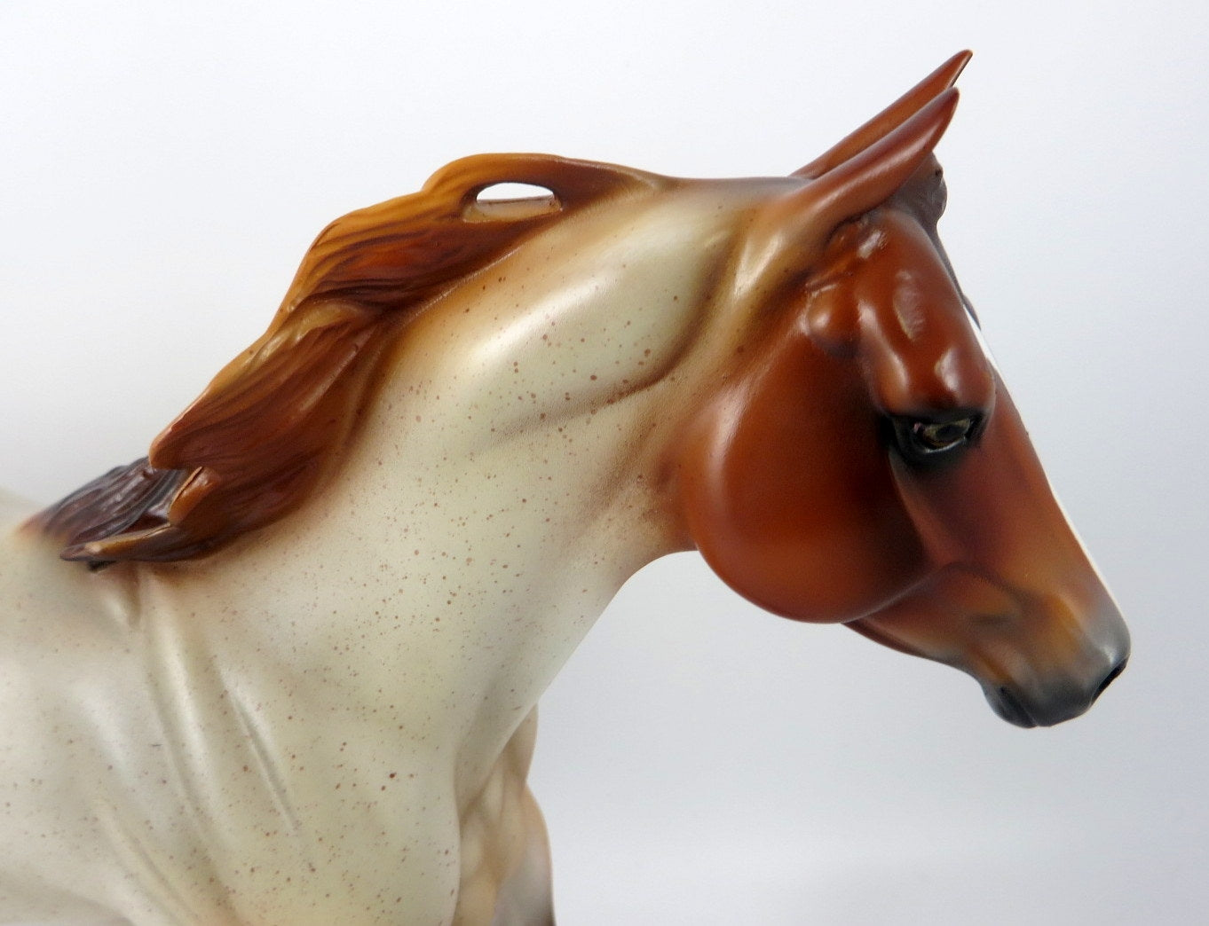 SMASHING PUMPKINS -LE-15 CHESTNUT ROAN FQH BY JULIE KEIM MM19