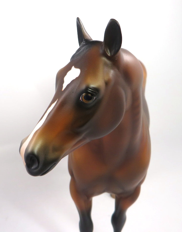 SNACK CADDIE - OOAK DAPPLE BAY ISH MODEL HORSE BY AUDREY DIXON PJ20