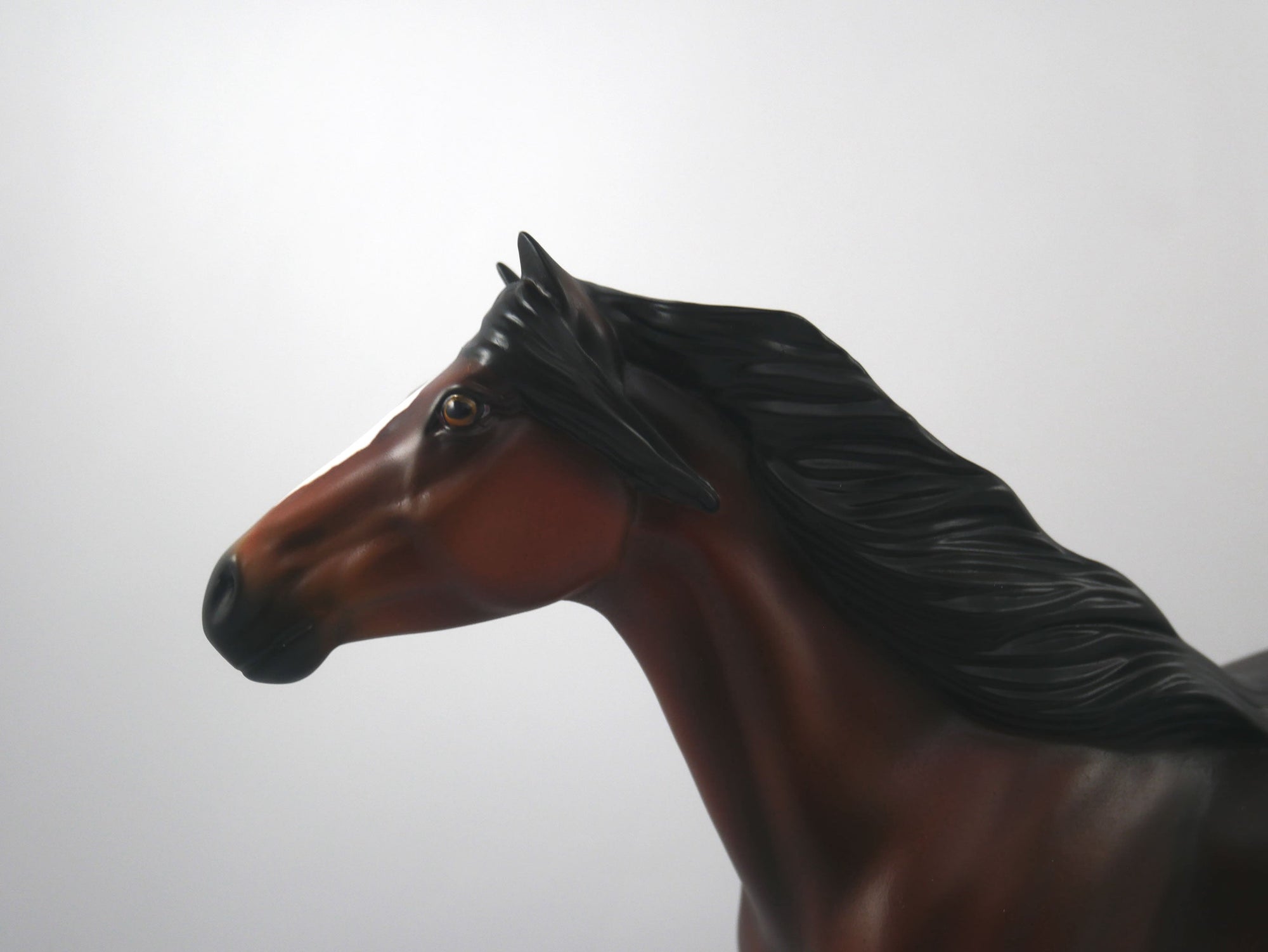 Snap-OOAK Bay Mustang  SB21