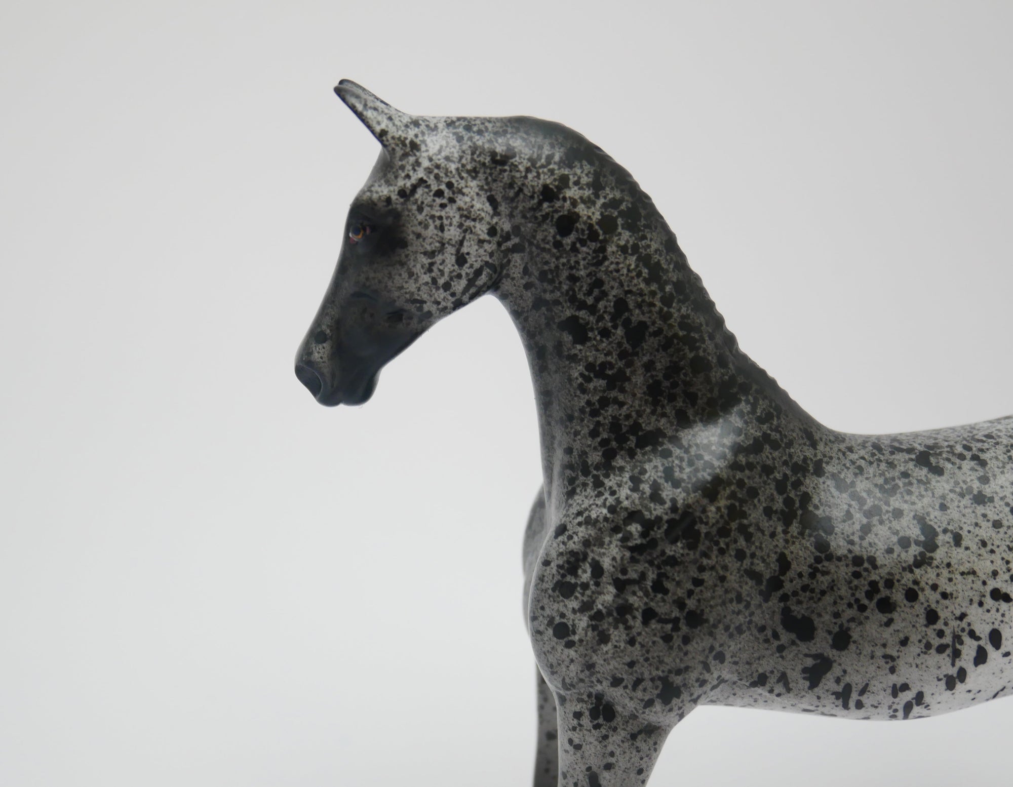 SNEEZE-OOAK LOUD APPALOOSA SADDLEBRED PEBBLES MODEL HORSE 3/13/20