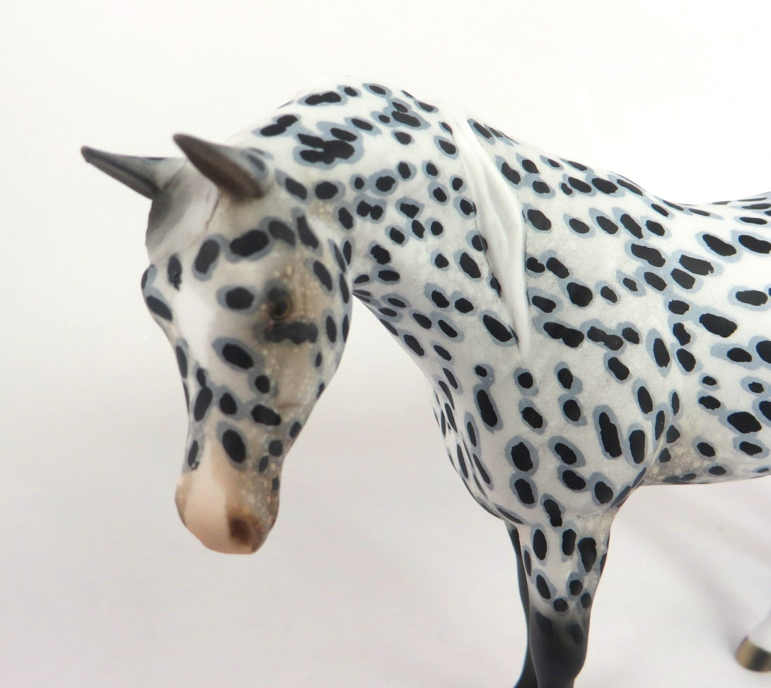 SNOW SPOTS-OOAK APPALOOSA ARABIAN MARE PEBBLES MODEL WHS 19