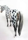 SNOW SPOTS-OOAK APPALOOSA ARABIAN MARE PEBBLES MODEL WHS 19