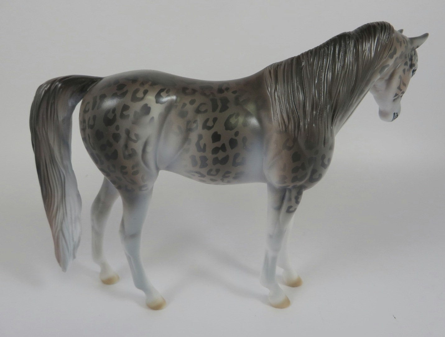 SNOW LEOPARD -- LE-10 SNOW LEOPARD ARABIAN PEBBLES BY DAWN QUICK LHS 19