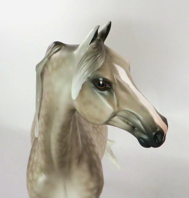 SNOWPLACE LIKE HOME-OOAK DAPPLE GREY MORGAN MODEL HORSE 12/18/19