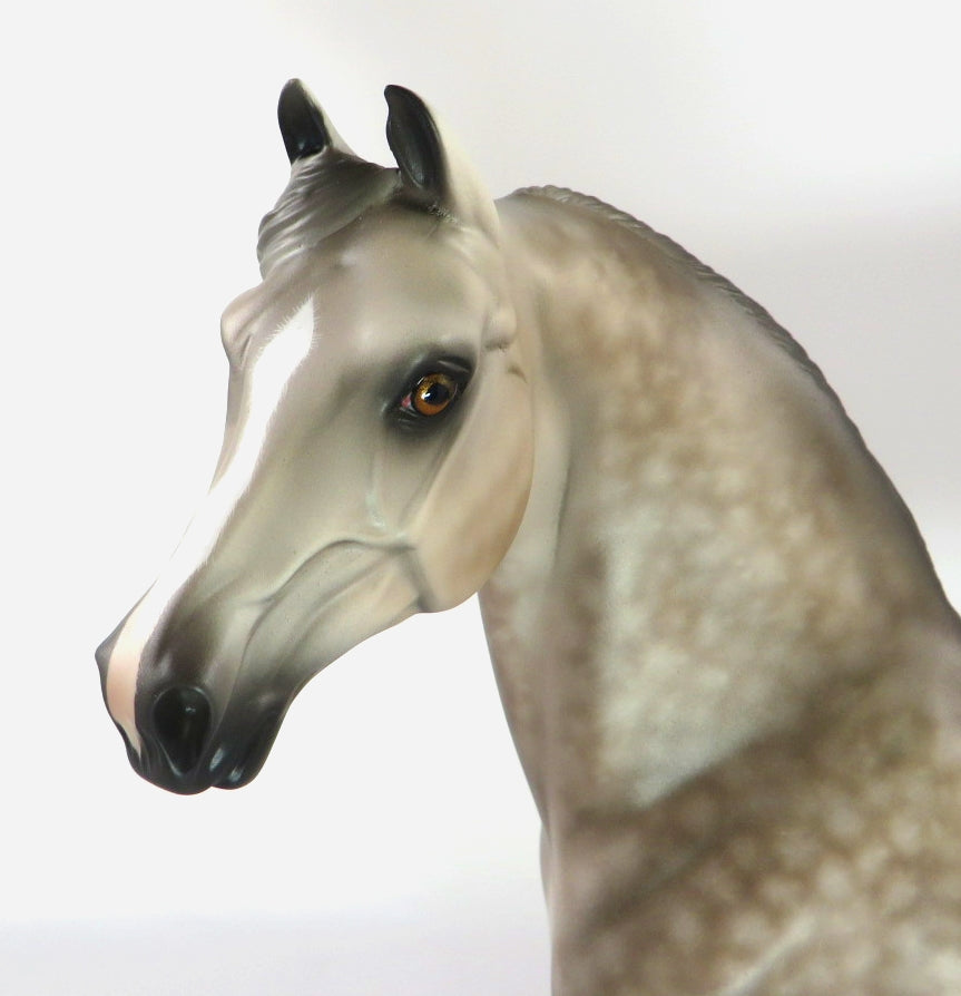 SNOWPLACE LIKE HOME-OOAK DAPPLE GREY MORGAN MODEL HORSE 12/18/19