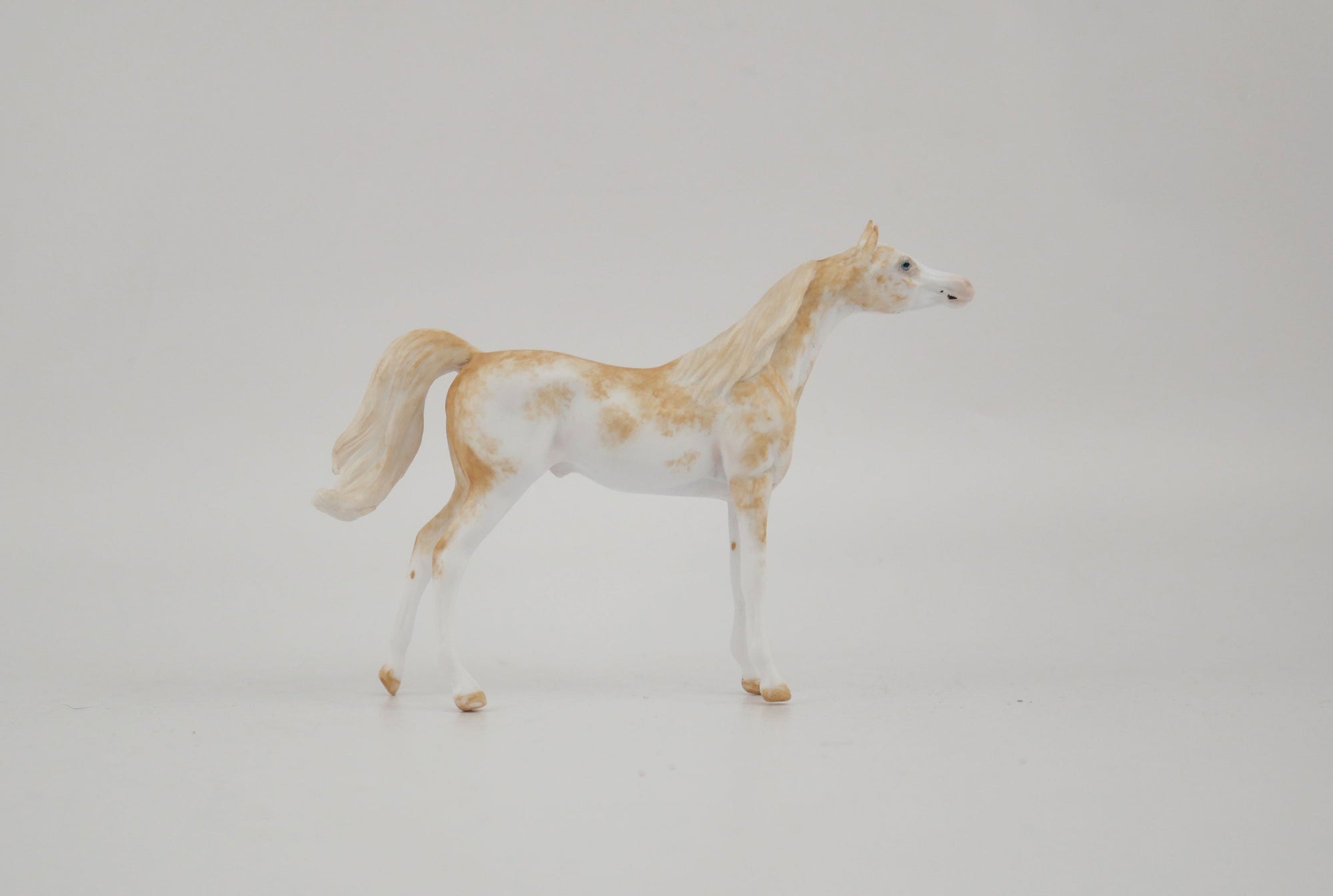 Sonata-OOAK Arabian Chip By Andrea MM 2020