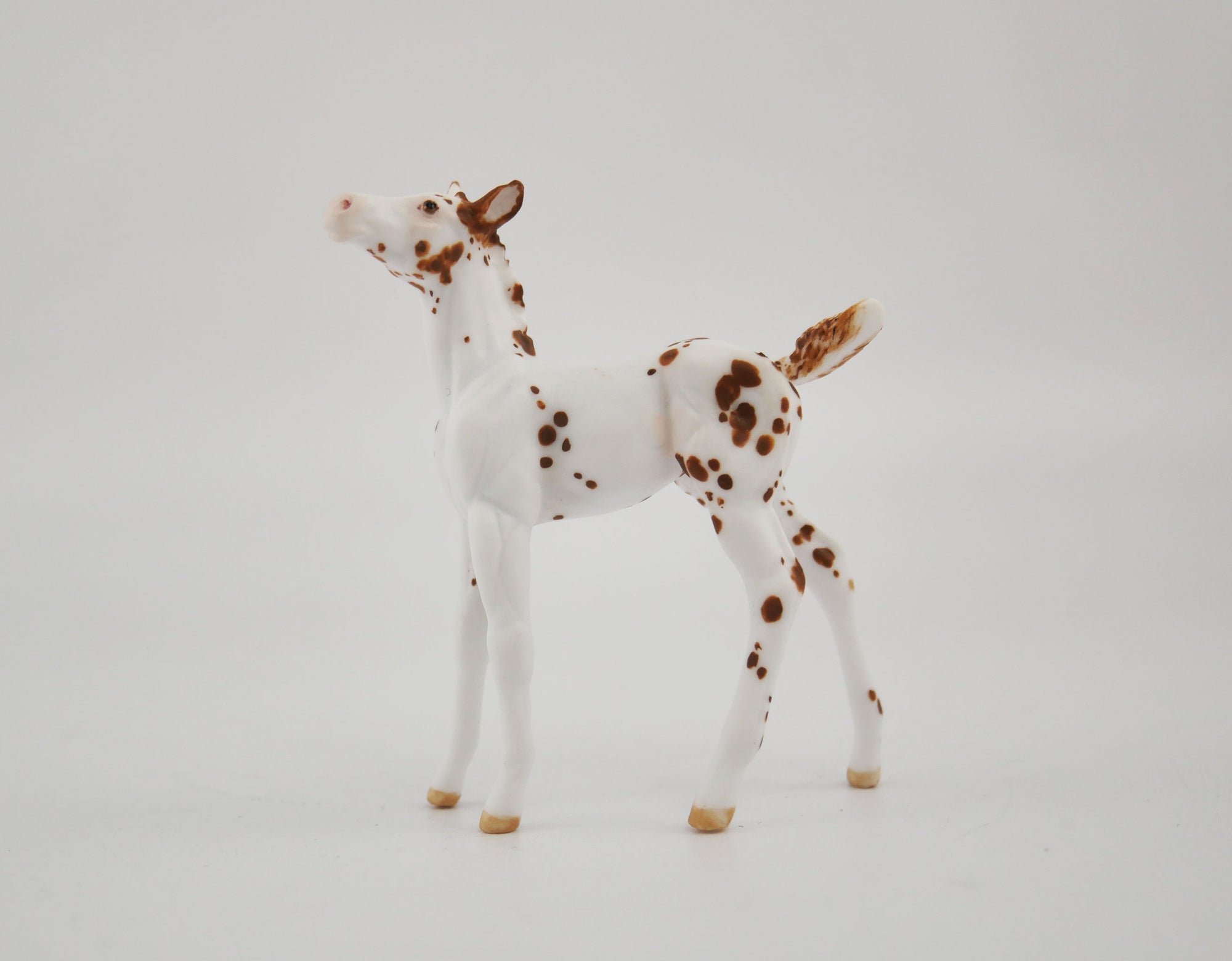 Sonnet OOAK Appaloosa Foal Chip By Andrea MM 2020