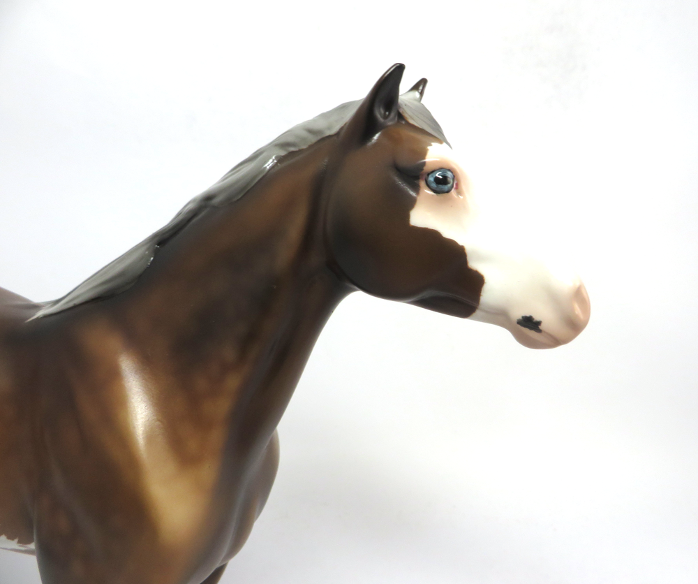REFUSE TO LOSE-OOAK-SOOTY PALAMINO SABINO MUSTANG BY AUDREY DIXON SB19