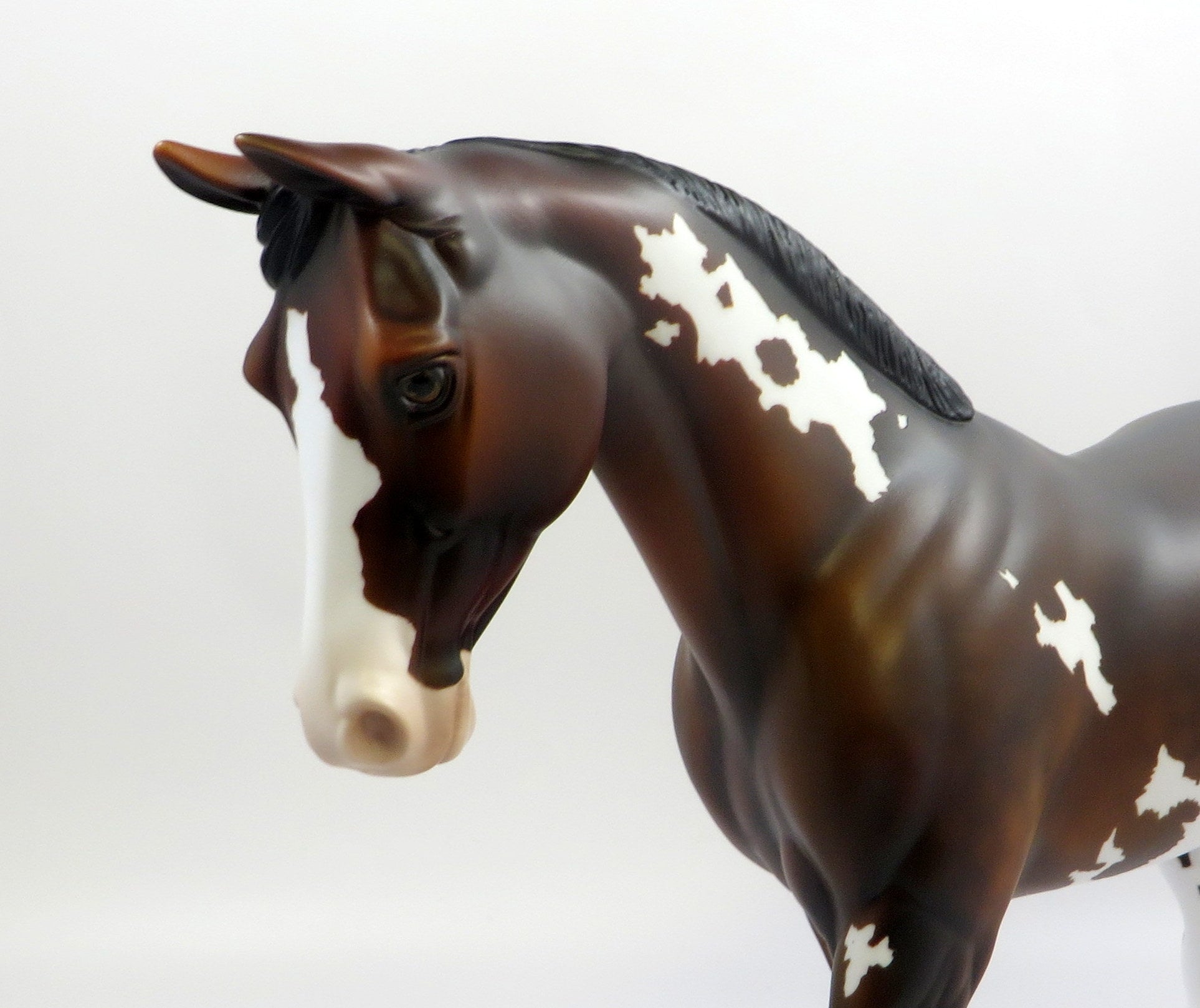 SORCERESS-OOAK BAY PAINT PALOUSE MODEL HORSE EQ 19