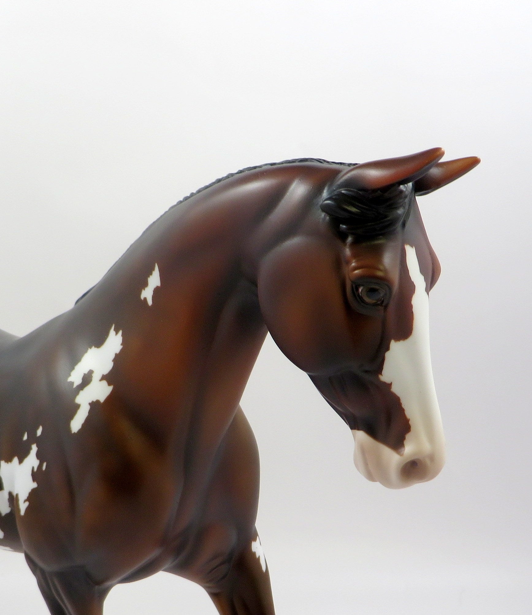 SORCERESS-OOAK BAY PAINT PALOUSE MODEL HORSE EQ 19
