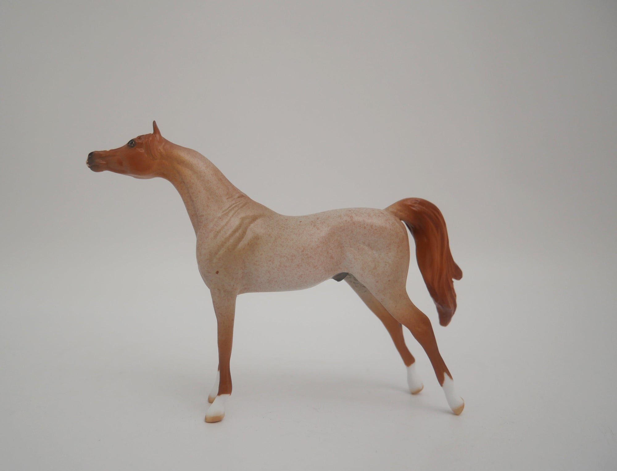 EQUILOCITY 2020 GRAB BAGS