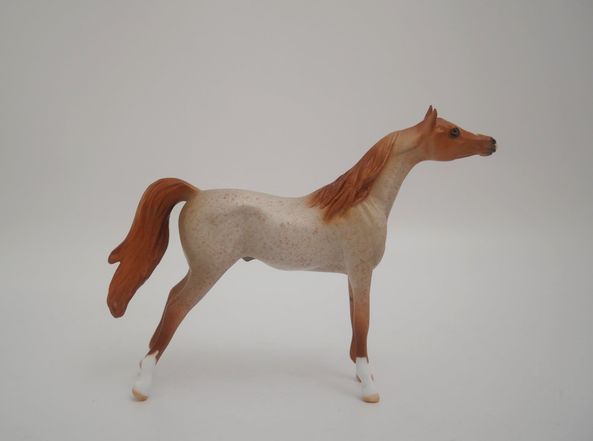 EQUILOCITY 2020 GRAB BAGS