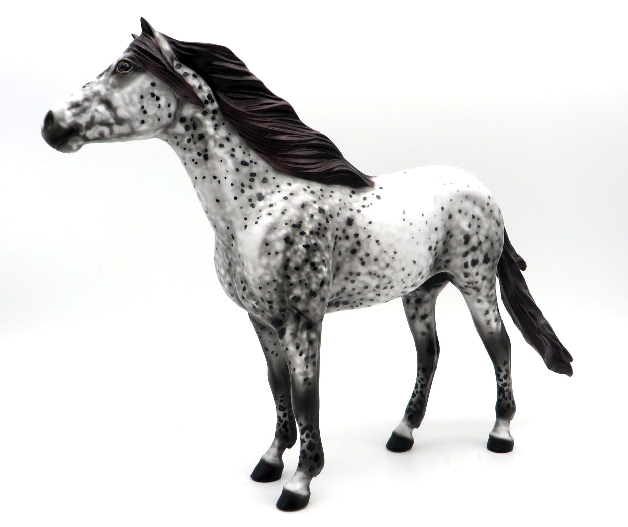 Spackle - OOAK Appaloosa Mustang by Al Katt
