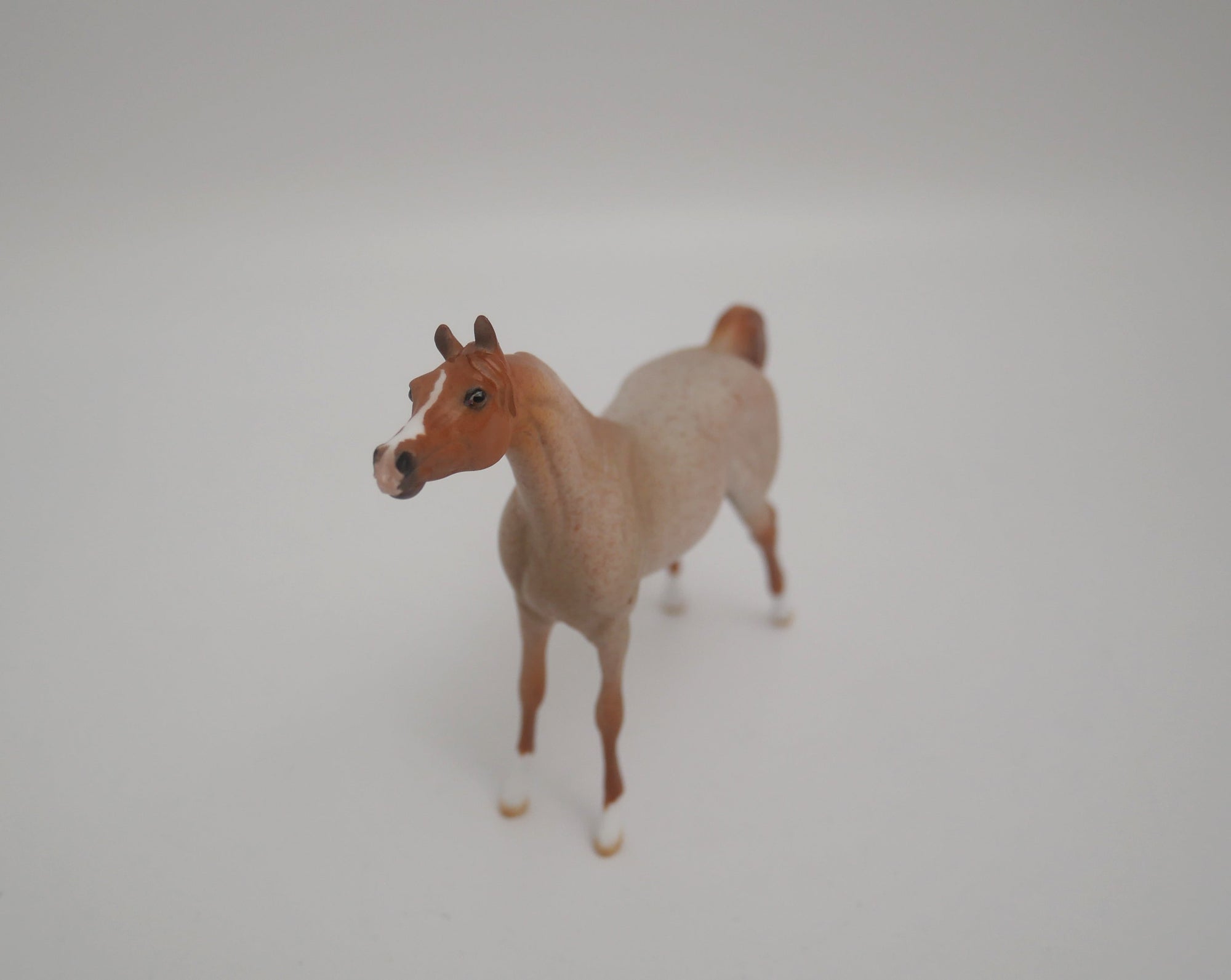 EQUILOCITY 2020 GRAB BAGS