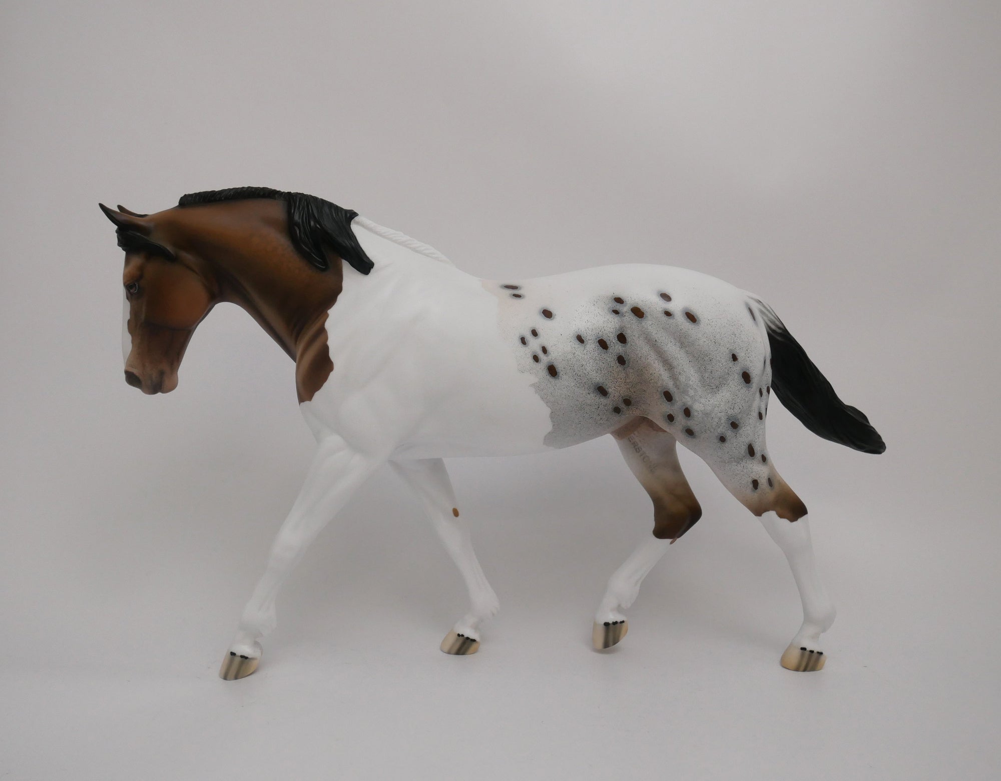 SPARKLER-LE-10 CUSTOM BUCKSKIN PAINTALOOSA IRISH DRAFTER MODEL HORSE 6/30/20