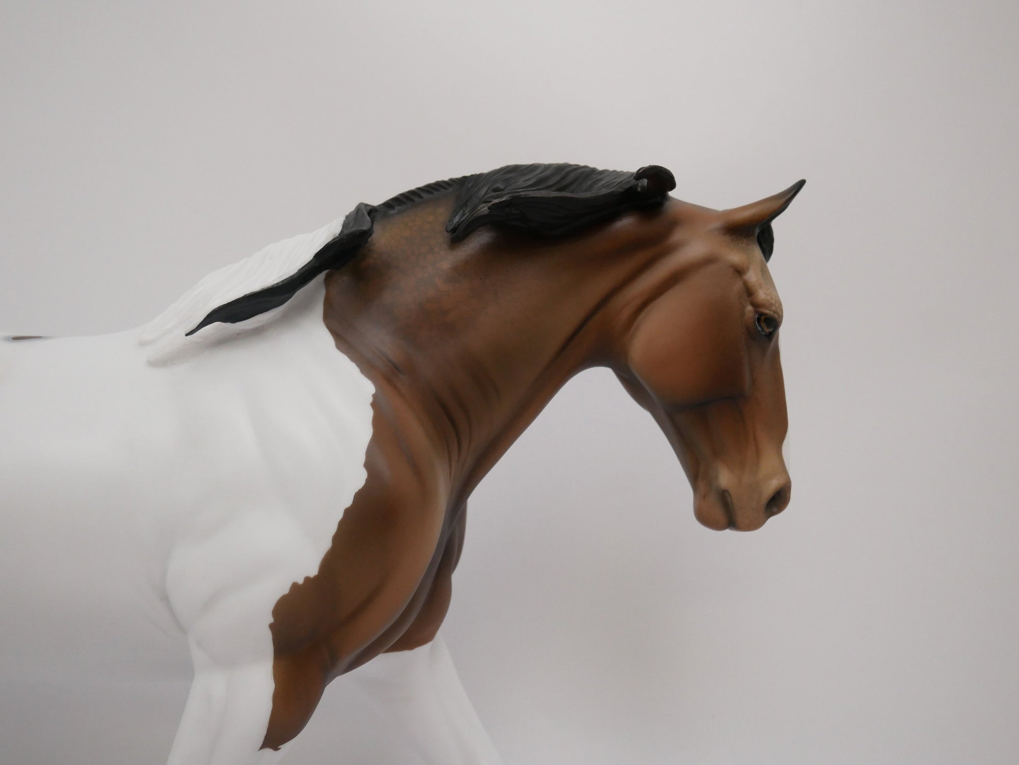 SPARKLER-LE-10 CUSTOM BUCKSKIN PAINTALOOSA IRISH DRAFTER MODEL HORSE 6/30/20